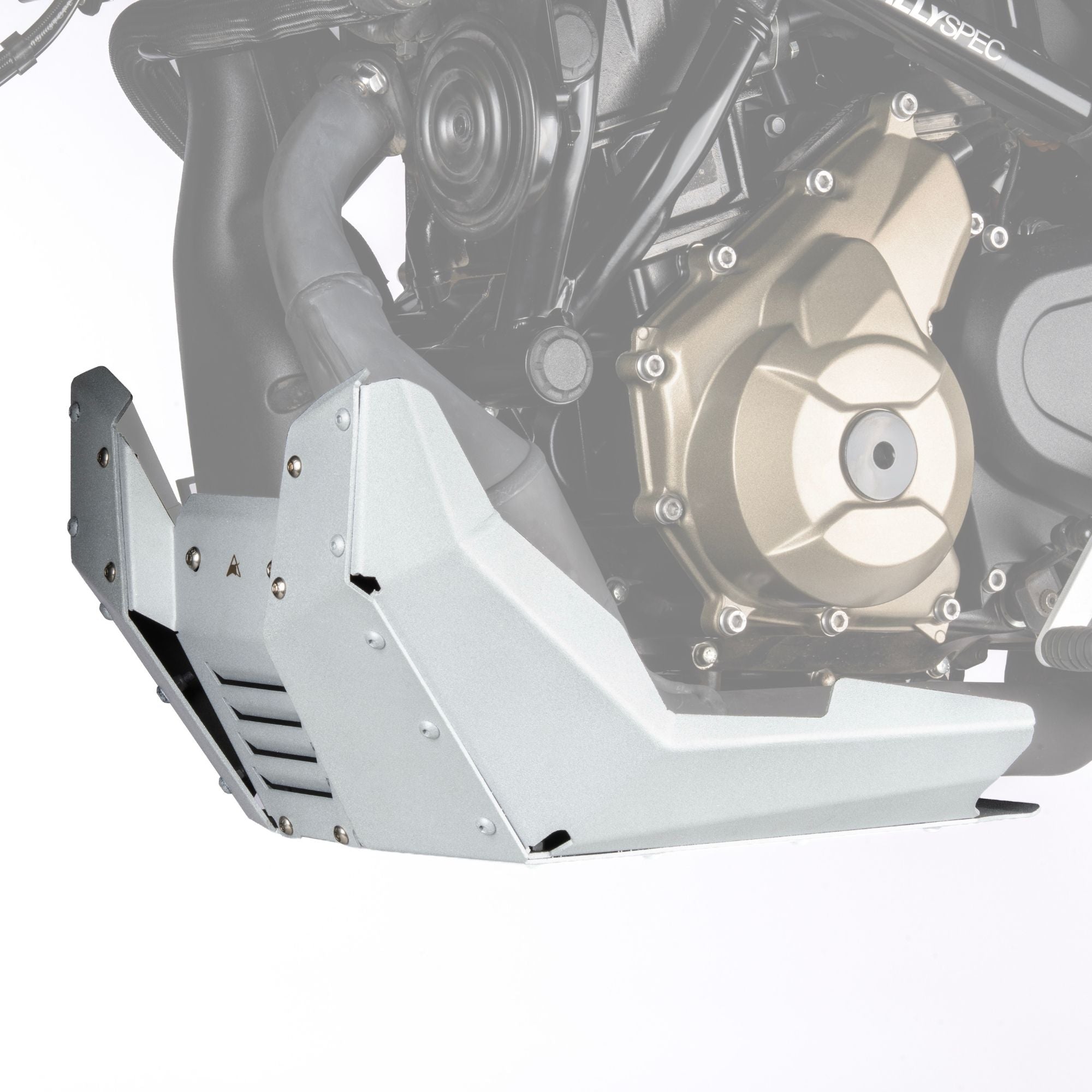 Bash Plate (Mirage Silver) for TVS Apache RTX 300 | Auto Engina